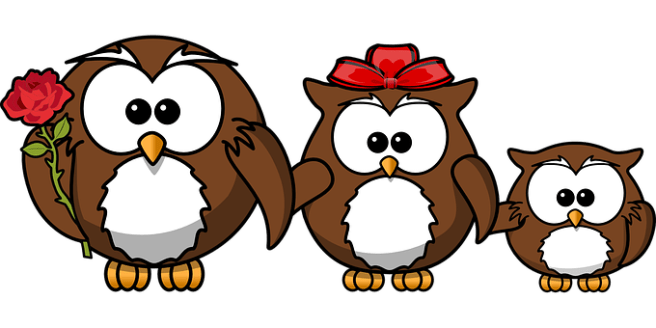 owl-158418__340.png
