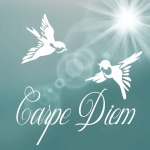 carpe-diem-881082_640