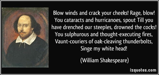 quote-blow-winds-and-crack-your-cheeks-rage-blow-you-cataracts-and-hurricanoes-spout-till-you-have-william-shakespeare-310420.jpg
